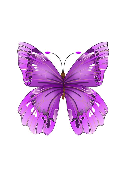 purple butterfly png clipart 20 free Cliparts | Download images on Clipground 2024