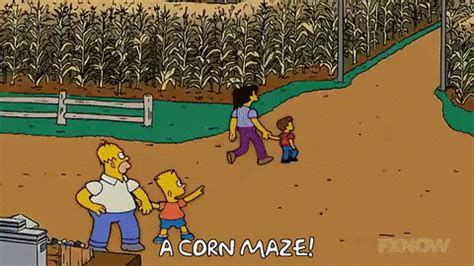 Corn Maze GIFs | Tenor