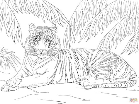 Adult Coloring Pages Tiger at GetColorings.com | Free printable colorings pages to print and color