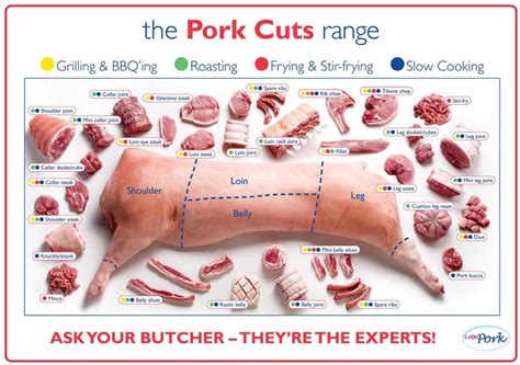 Pork Cuts Pig Diagram Poster High Quality Canvas Oil Painting Wall Art Picture For Living Room ...