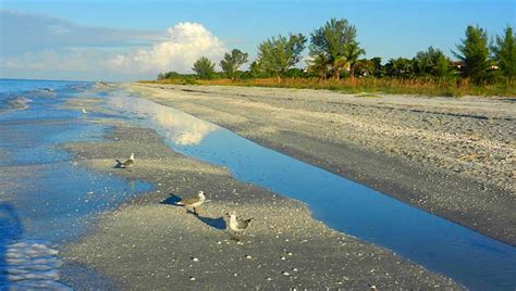 9 things to do on Sanibel Island to experience its magic