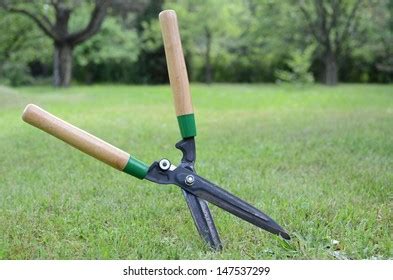 Cutting Grass Scissors Garden Stock Photo 147537299 | Shutterstock