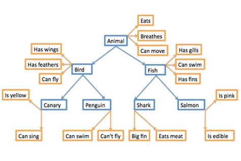 Semantic Memory In Psychology: Definition & Examples