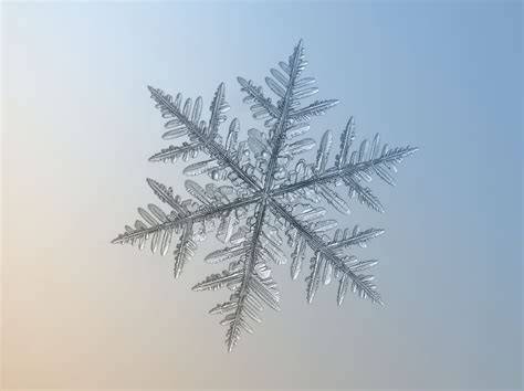 Unbelievable Close-Up Photos Of Snowflakes Reveal A Side Of Winter You ...