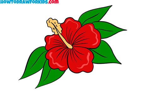 Hibiscus Flower Drawing Images | Best Flower Site