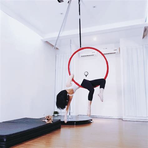 Aerial Hoop Online Tutorial