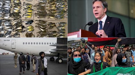 World , Afghanistan news today: 5 overnight developments from around the globe