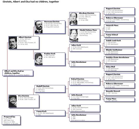 Albert Einstein Family Now - Image to u