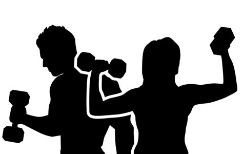 Personal trainer Exercise Clip art Physical fitness Training - silhouette png download - 759*481 ...