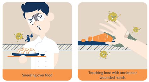 Food hazards and food contamination