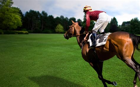 Download Horse Racing Sports HD Wallpaper