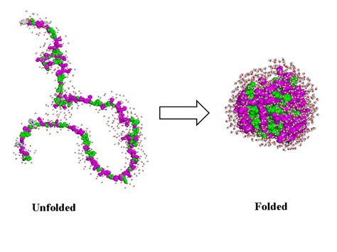 Protein folding: from primary to tertiary structure [12]. | Download Scientific Diagram