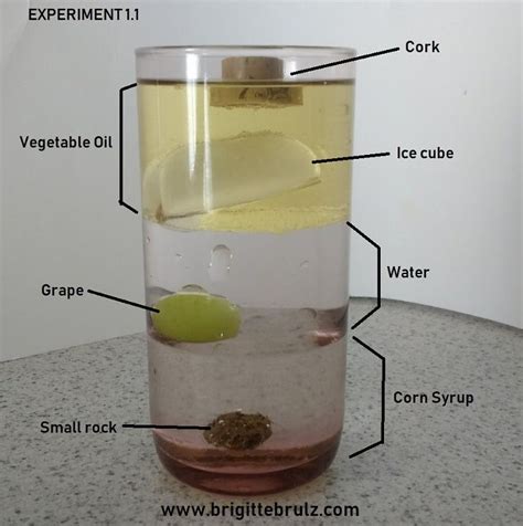 Science Experiments For Kids At School