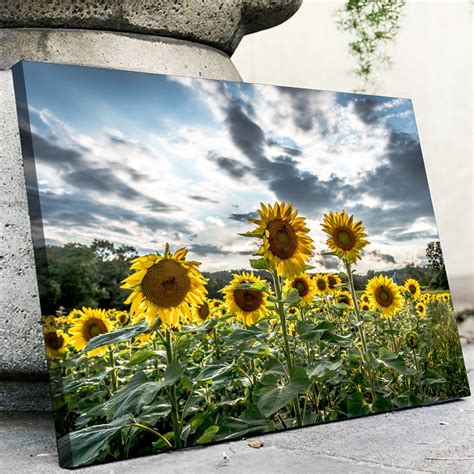 Sunflowers Canvas Set – Legendary Wall Art