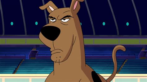 Scooby Doo Meme Template