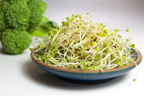 Recipe - Broccoli Sprouts - Inspero Medical Functional Medicine