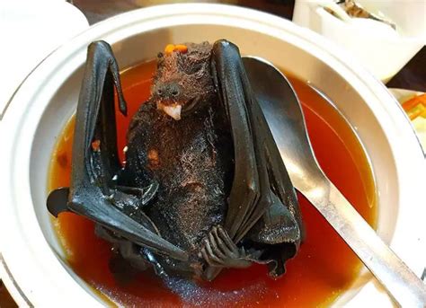 17 Bizarre and Weird Foods in China That People Love to Eat