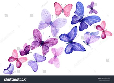 69,561 Pink Purple Butterfly Images, Stock Photos & Vectors | Shutterstock