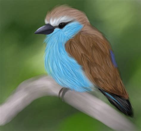 Realistic Bird Drawing by dinosauralicia on DeviantArt