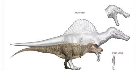 Prehistoric planet Trex and Jurassic park Spinosaurus size comparison | Prehistoric Planet ...