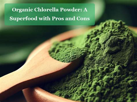 Organic Chlorella Powder: A Superfood With Pros And Cons - ORGANICWAY