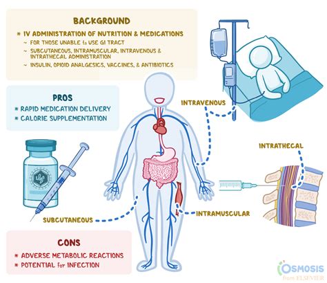 Parenteral Route: What Is It | Osmosis