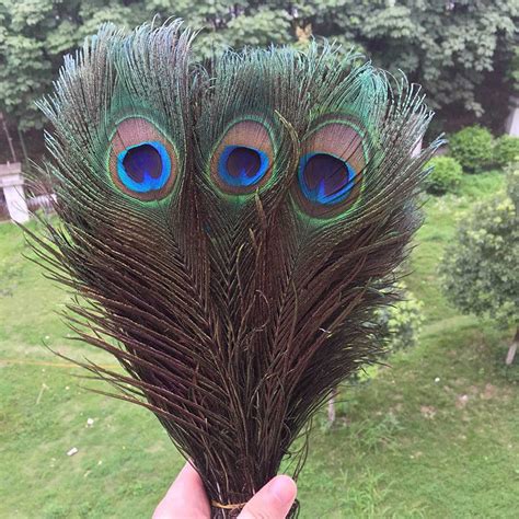 Wholesale ,500 pcs Real Peacock Tail Feathers about 10 12 Inches-in Feather from Home & Garden ...