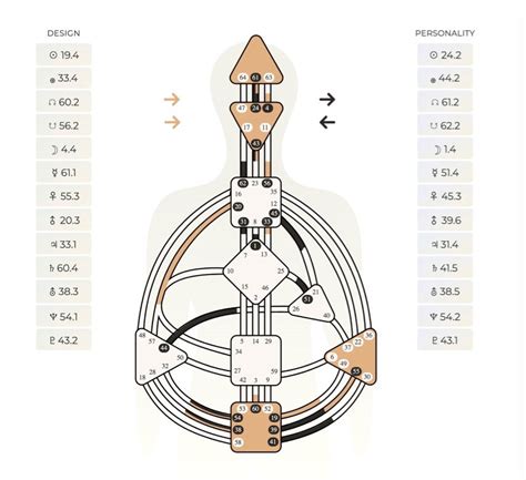 How Human Design Determines Your Productivity and Decision-Making | Expert Insight | Allure