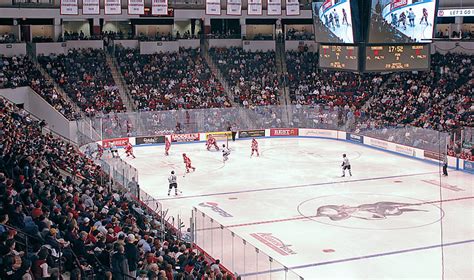 Boston University Terriers - College Hockey, Inc.