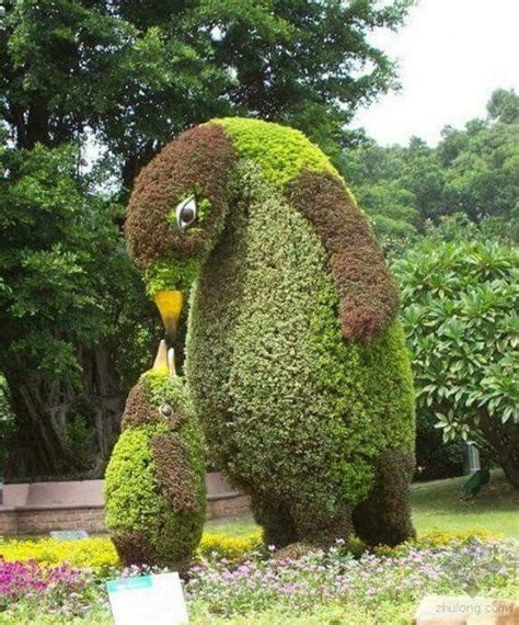 157 best Terrific Topiary Animals images on Pinterest