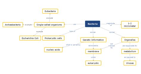 Biology Concept Map Complete Guide with 30+ Examples | EdrawMind