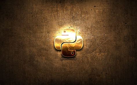 Python golden logo, programming language, brown metal background, creative, Python logo, HD ...