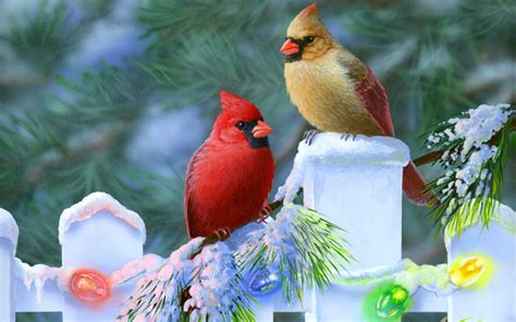 🔥 [50+] Free Christmas Bird Wallpapers | WallpaperSafari