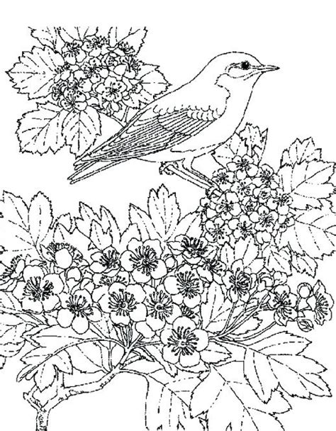 Fall Scenery Coloring Pages at GetDrawings | Free download