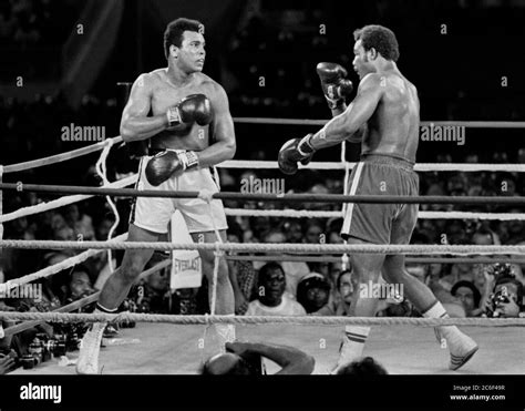 Muhammad Ali vs. George Foreman: The Rumble in the Jungle fight in Kinshasa, Zaire (October 30 ...