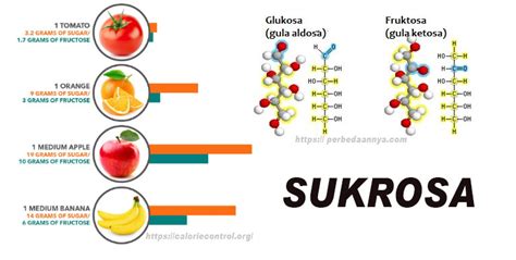 Apa-itu-sukrosa-dan-penjelasnnya - Jasamaklonminuman