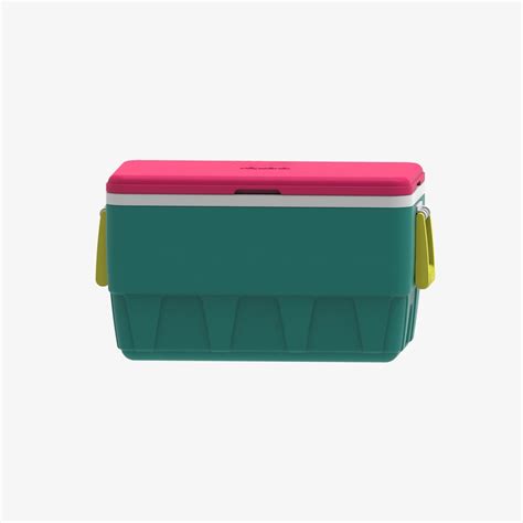 Igloo's Retro '90s-Inspired Coolers | POPSUGAR Food