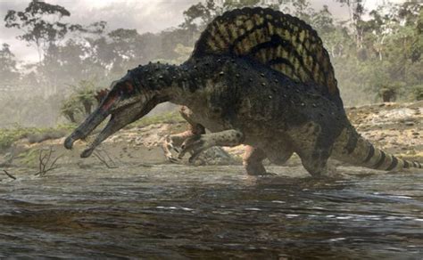 Spinosaurus Pictures, Facts, Diet and Adaptations