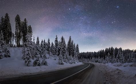 Download wallpaper: Winter night at Pokljuka forest 3840x2400