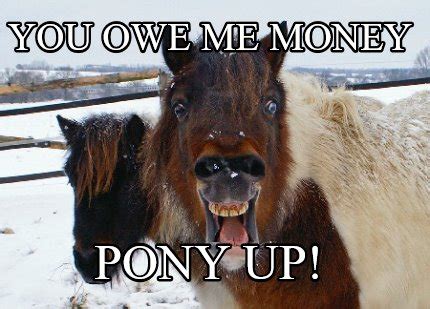 Meme Creator - You owe me money pony up!