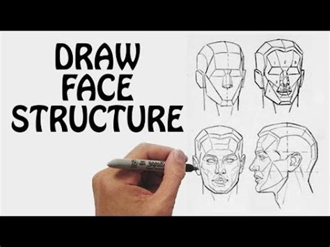 Learn How To Draw Face Structure | Draw Face Anatomy | Drawing Lessons For Beginners - YouTube