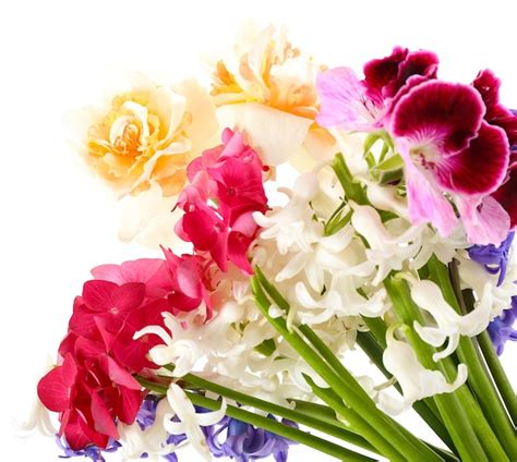 Premium Photo | Beautiful bouquet of bright flowers isolated on white