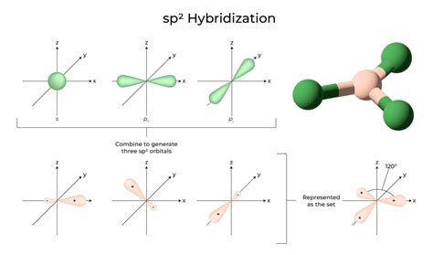 Hybridization - Definition, Types, Rules, Examples - GeeksforGeeks