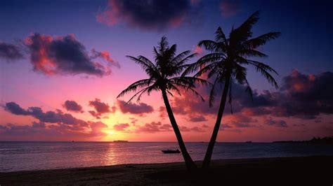 Tropical Beach Sunset Wallpapers - Top Free Tropical Beach Sunset Backgrounds - WallpaperAccess