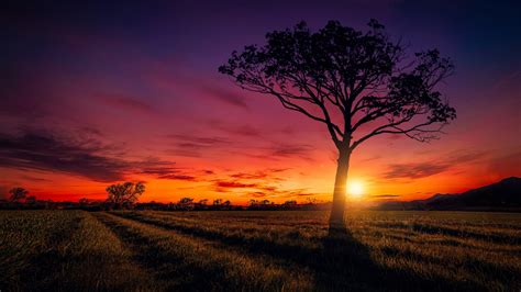 Sunset Scenery Wallpapers | HD Wallpapers | ID #20047