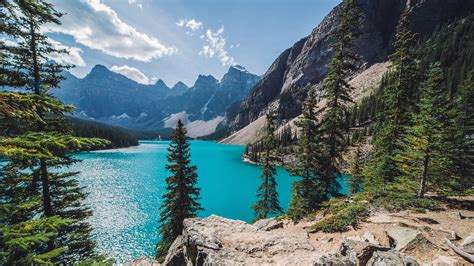 Green trees, nature, landscape, Moraine Lake, Canada HD wallpaper | Wallpaper Flare