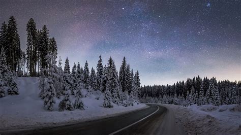 Winter Night 2560x1440 Wallpapers - Wallpaper Cave