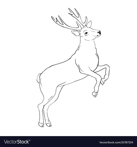 Deer drawing Royalty Free Vector Image - VectorStock