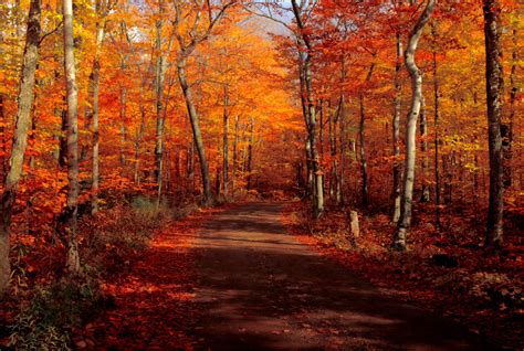 Your Guide To The Best Maryland Fall Foliage | Inn At Huntingfield Creek