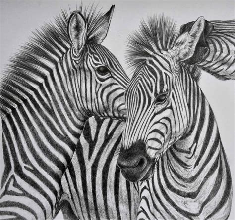 Animal Pencil Sketch: A Journey Through Wild Creativity